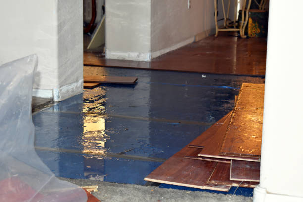 Professional Flood Damage Repair technician working in Little Silver, NJ
